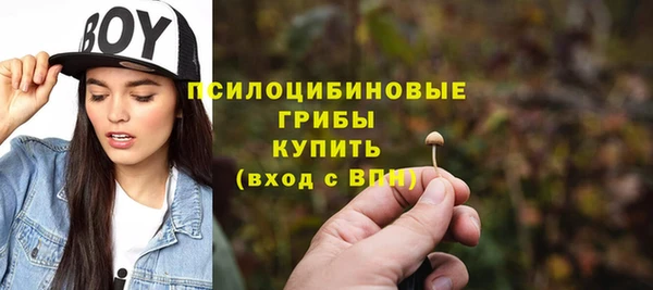 гидра Козельск