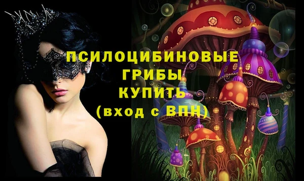 ГАЛЛЮЦИНОГЕННЫЕ ГРИБЫ Кодинск