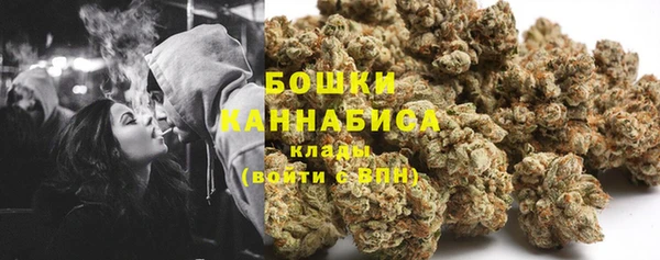 ГАЛЛЮЦИНОГЕННЫЕ ГРИБЫ Кодинск