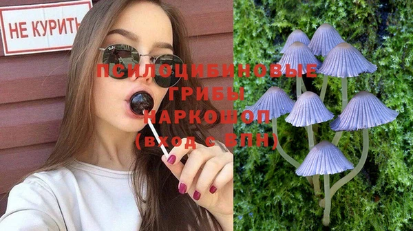 гидра Козельск