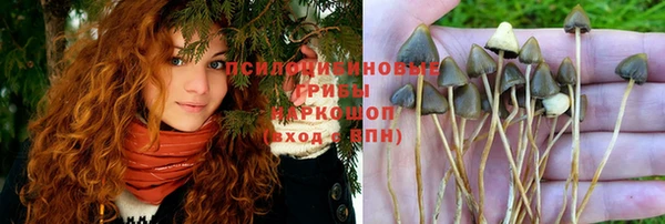 гидра Козельск