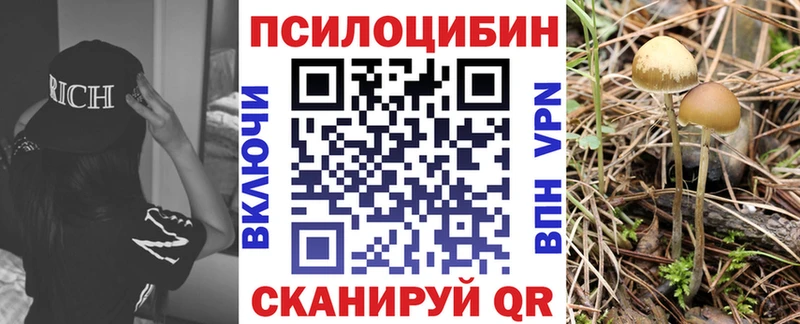 Купить закладки  Билибино  Псилоцибиновые грибы GOLDEN TEACHER 